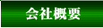 ЊTv
